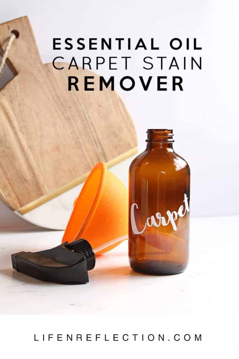 Easy Natural Diy Carpet Stain Remover Recipe Life N Reflection